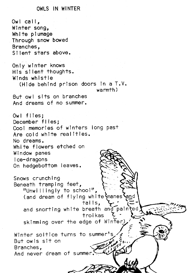 Owls in Winter by Caroline Nicholson